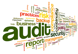 Audit Services